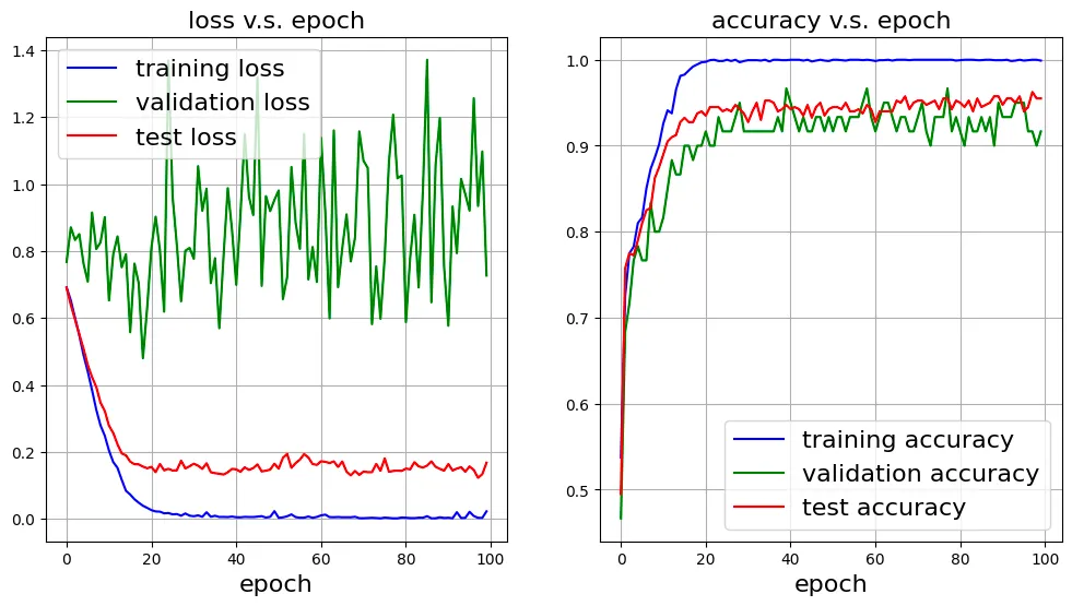 Training, validation, and test losses and accuracies for each epoch