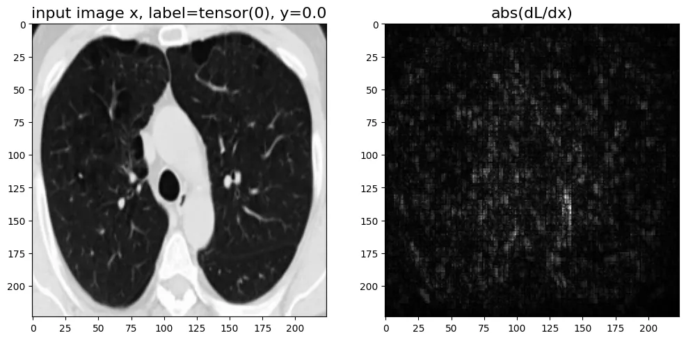 Gradient of loss with respect to input