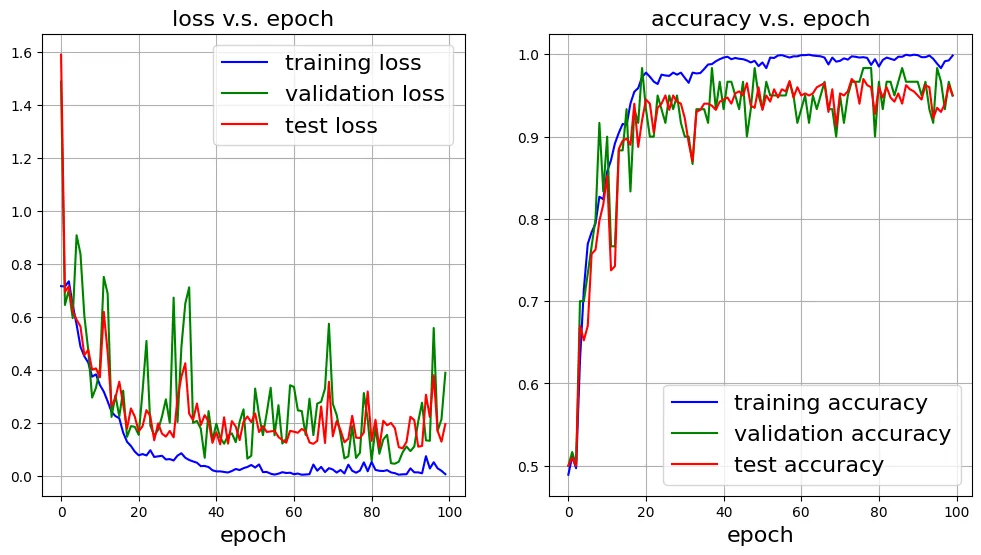 Training, validation, and test losses and accuracies for each epoch