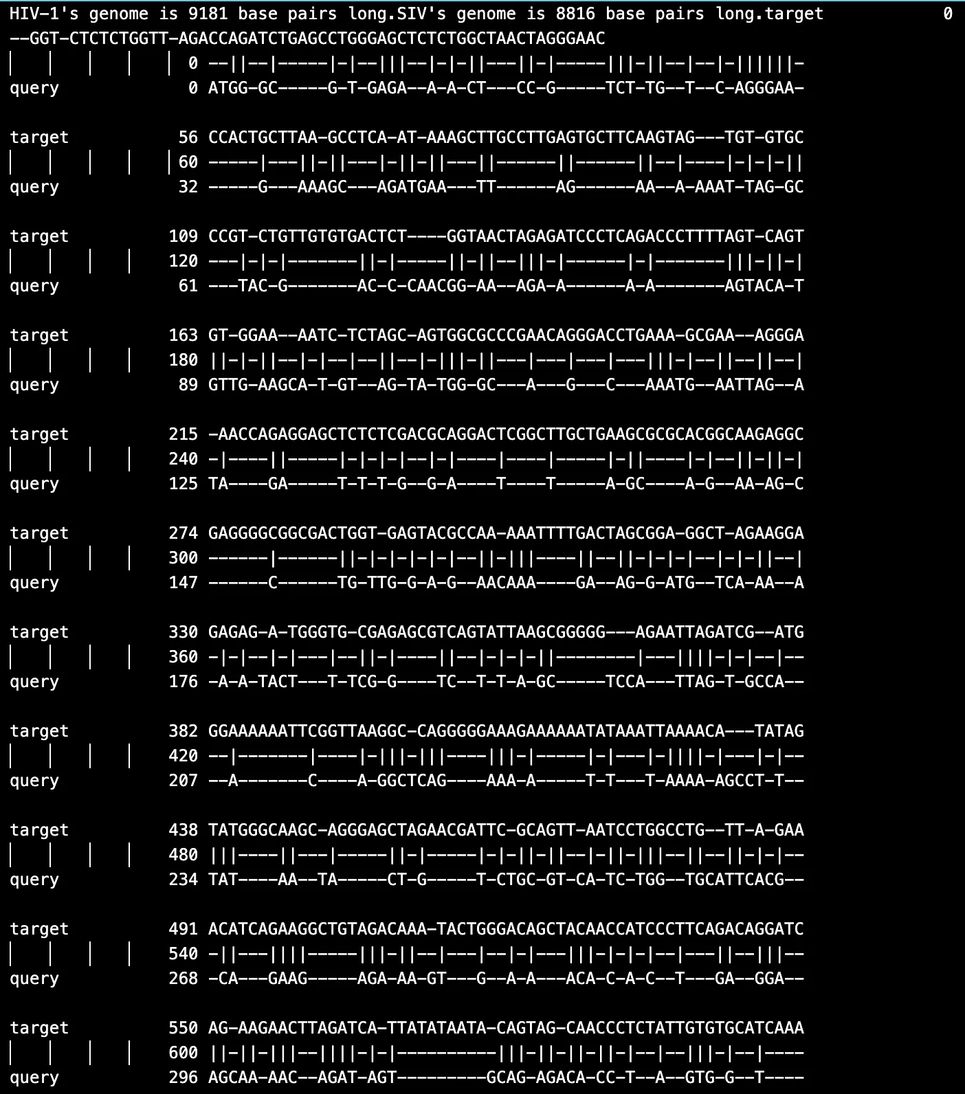 Figure 3. Sample RNA HIV-1 and SIV alignment results