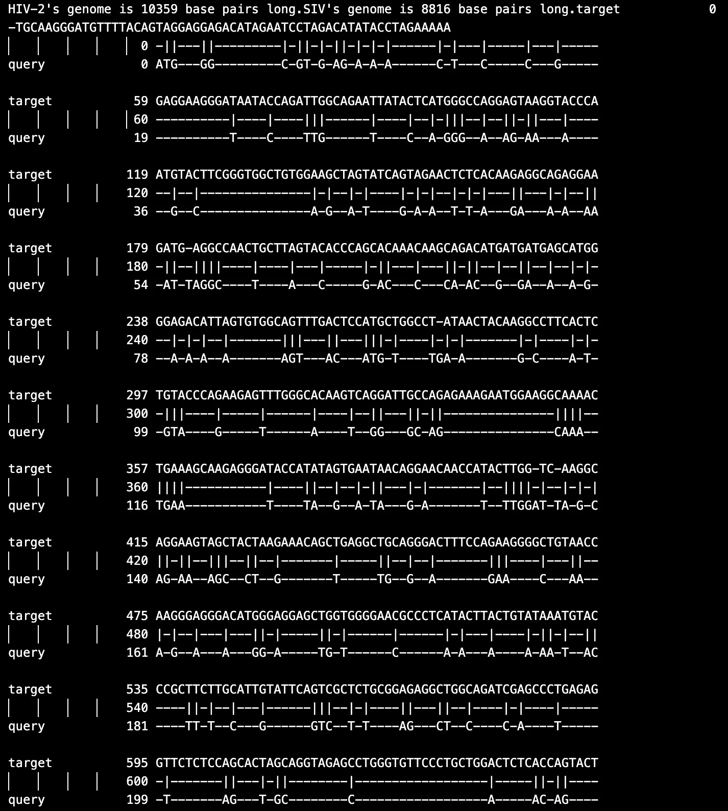 Figure 4. Sample RNA HIV-2 and SIV alignment results