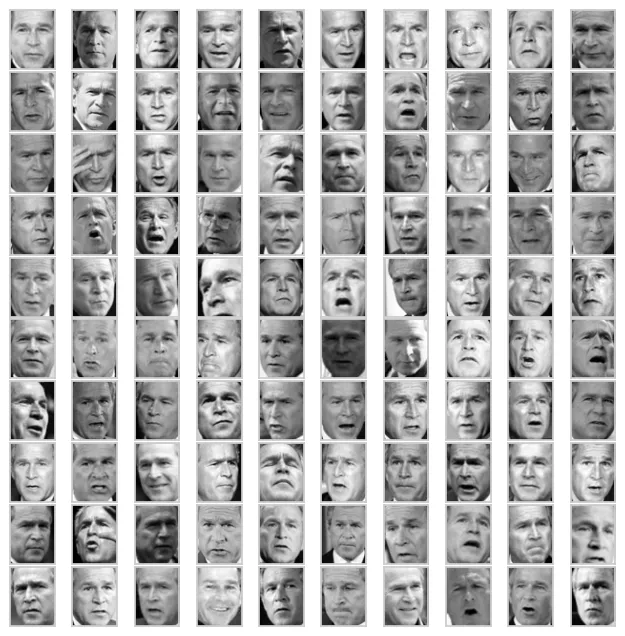 Plot the first 100 faces to view the data